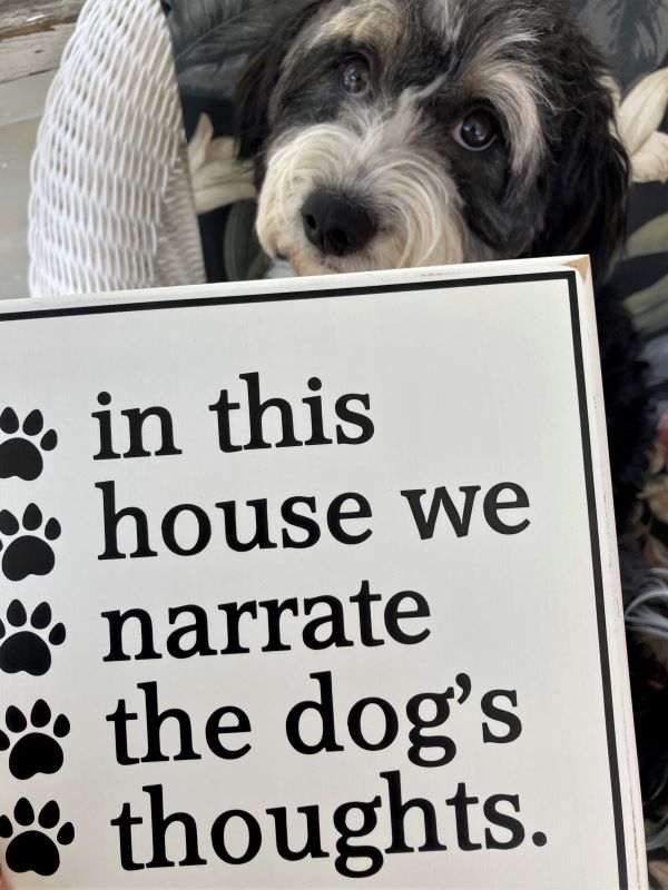 CountryWorkshp's tweet image. Looking for a gift for a dog family? In This House We Narrate The Dog's Thoughts #perfectdoggift  #DogSign  #PuppyFamily #lovemydog #doodledog #smilett23  Wood Sign #DogLife etsy.me/3tvcGX8 via @Etsy