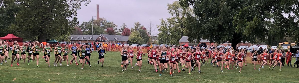 DerekParris's tweet photo. Central State Eight conference cross country!

The girls are off and running in Jacksonville 

🎥@Channel1450com https://t.co/IjjvON81FG