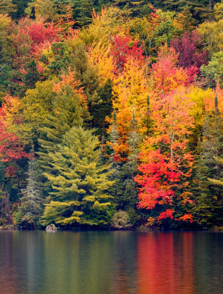 Full spectrum of lovely fall colors!  🍂 🍁 🍂