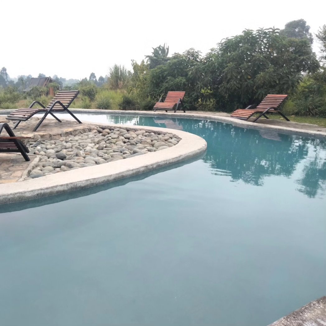 AkiraAlira's tweet photo. Did you know our on-site amenities offer enjoyment for all with a swimming pool and adventure activities including obstacle courses, ziplining, wall climbing and mini golf. 

#akiraaliralodge #cabinvibes #cabins
#exploreuganda  #fortportal #glamping #zipline #adventureactivities https://t.co/NPnnqOFAfl