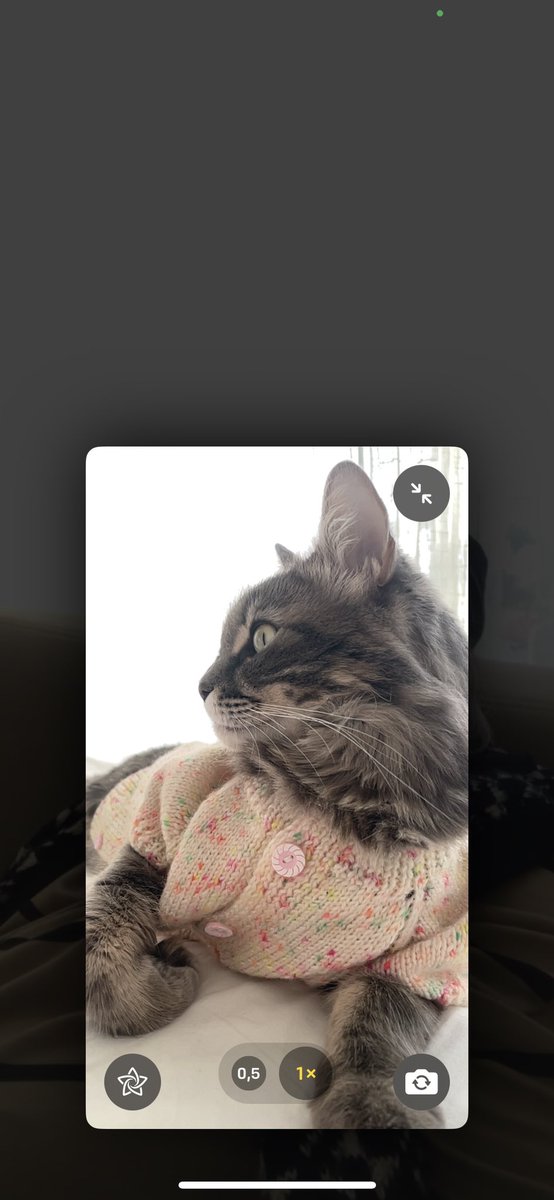 Nurbanu (@nurbsdgn) on Twitter photo 