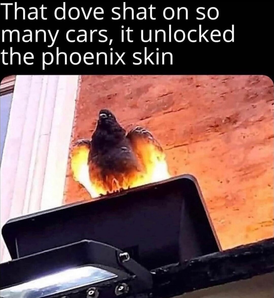 Jbanklestankle1's tweet photo. @ShitpostGate https://t.co/lG5KDBZlIp