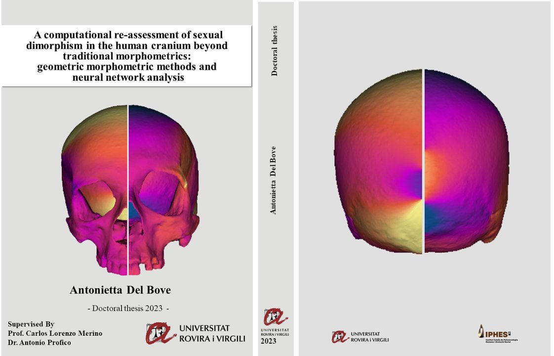 AntoniettaDelB2's tweet photo. A week ago, "he/she/they" was born, weighed little but was healthy. The mother is pleased, but I am awaiting approval from the scientific committee to present this new baby. #phdthesis #urv #iphes #anthropology 😆😋💀🤓🧑🏻🦲🤱🏻🤱🏻🤦🏻♀️🤡😊💜 p.s. I have other good news, stay tuned!🤫 https://t.co/bar3c4I9VL