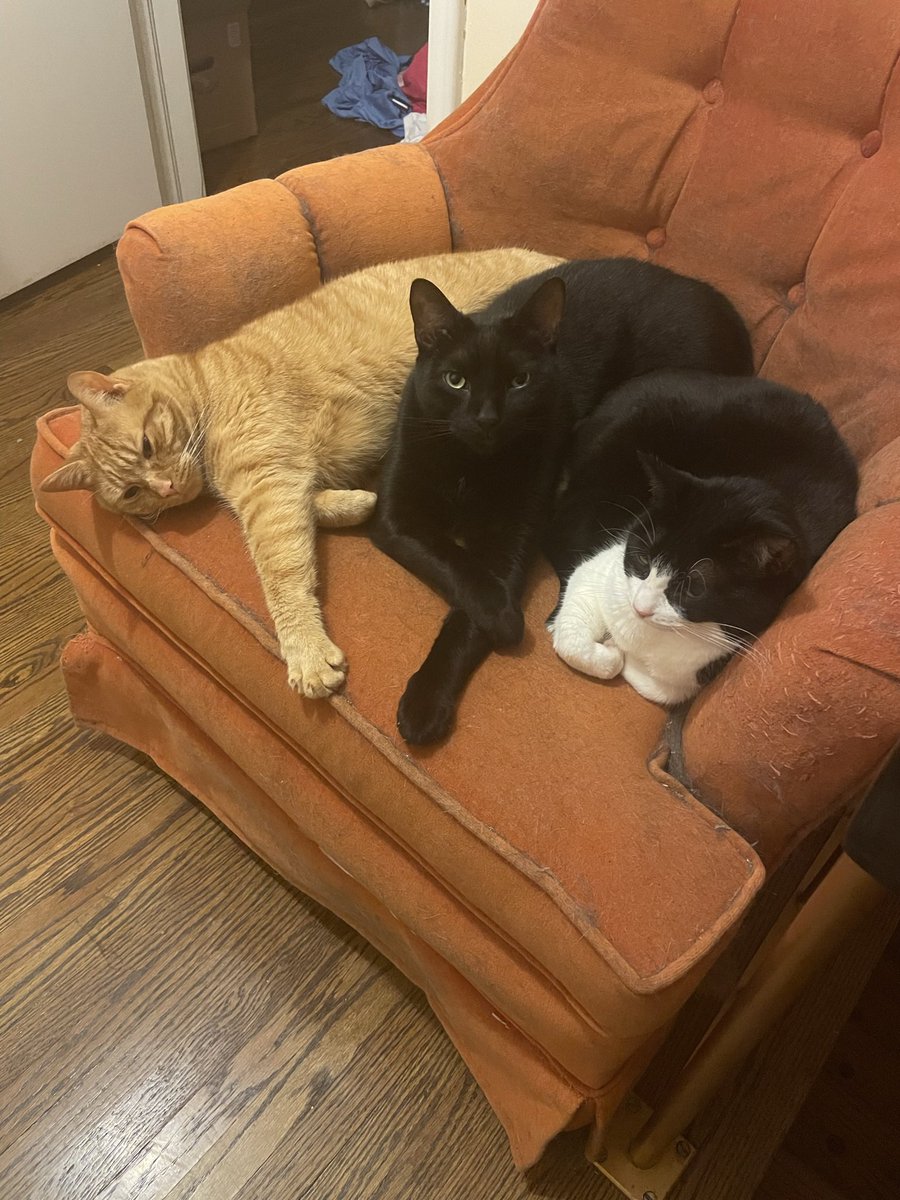 🟦 Paul Ferreira - #IStandWithUkraine tweet media