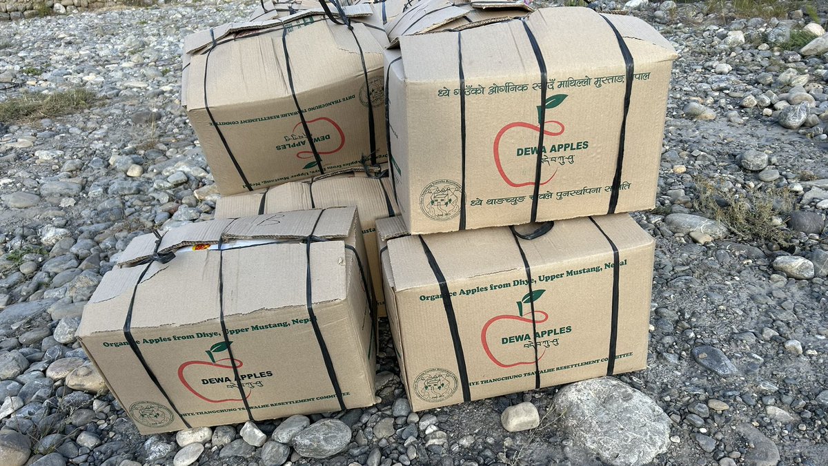 DewaApples's tweet photo. Dewa Apples finished packing 2023 https://t.co/dtof47mKaY