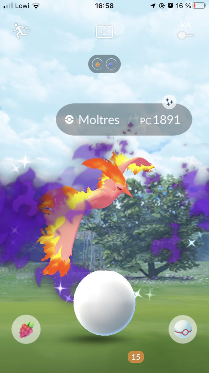 SofiissPoGo's tweet photo. No es perfecto pero es shiny 🥹 @RaulGLPoGo 🫶🏼✨

#PokemonGO #PokemonGOApp #ShinyPokemon #ShadowMoltres #PokemonGOfriends https://t.co/MLx5yhvMdh