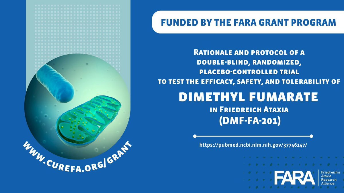 CureFA_org's tweet photo. *Funded by the #FARAGrantProgram*
https://t.co/QZwoOiB9hP
Rationale and protocol of a double-blind, randomized, placebo-controlled trial to test the efficacy, safety, and tolerability of dimethyl fumarate in #FriedreichAtaxia (DMF-FA-201).
https://t.co/7vIHo51RJw
@fsax2000 https://t.co/0aoHT1RZwu