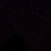 Troy Barath tweet media