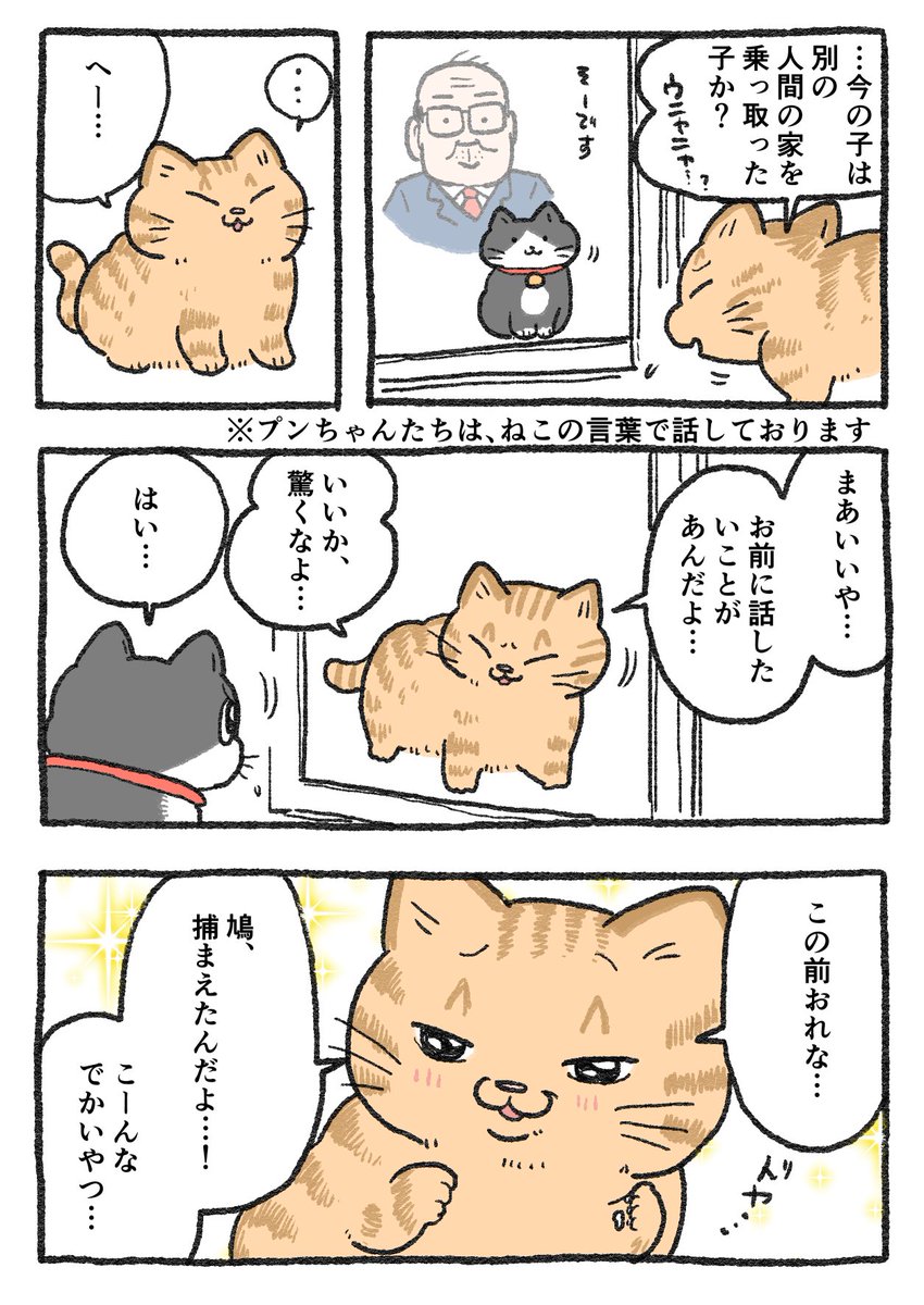 ねこおじ様 ねこに転生したおじさん。その252