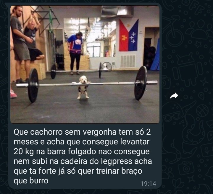 academia fora de contexto (@foraacademia) on Twitter photo 