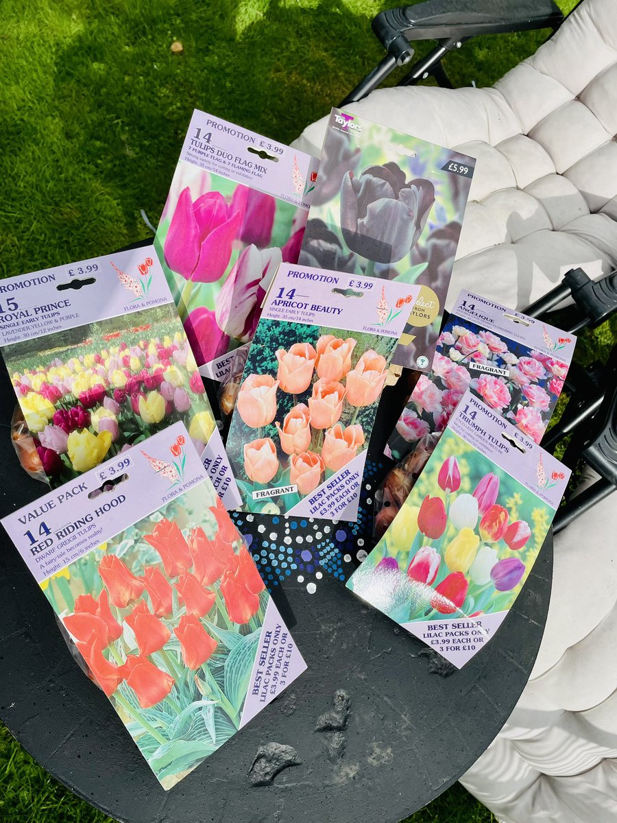 Janine Jury tweet media