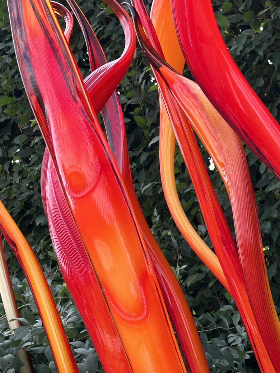 Gorgeous glass sculptures! 😍