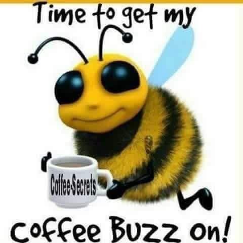 Kiesey 🍁 tweet media