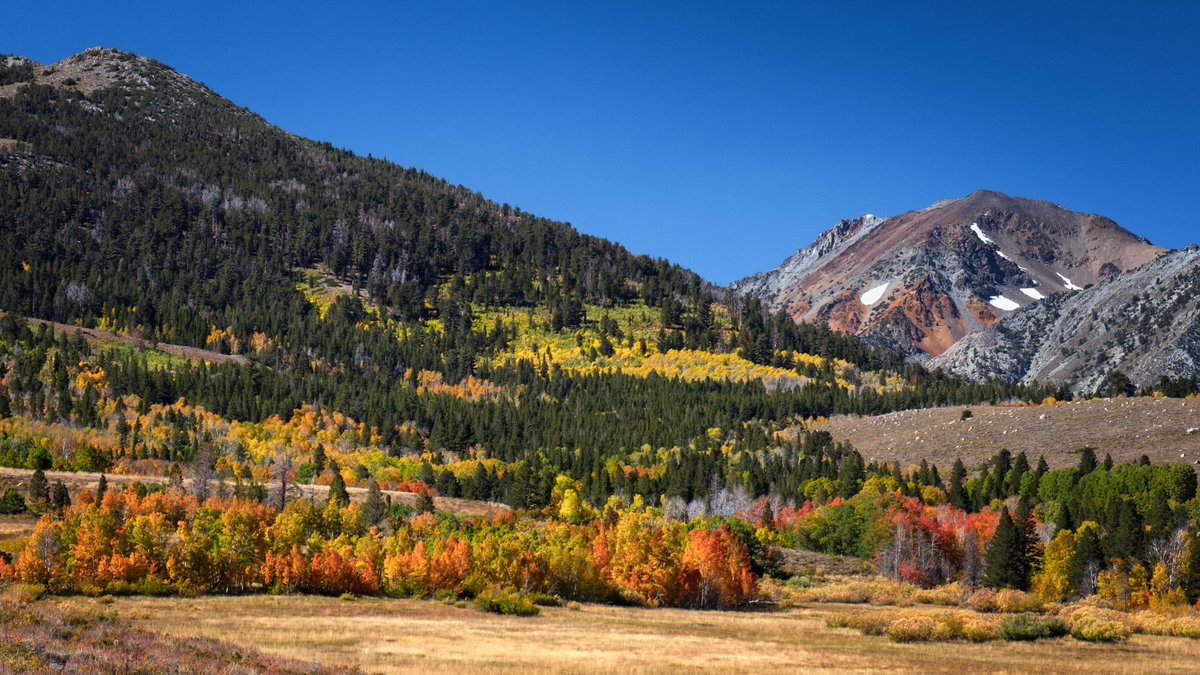 dubland's tweet photo. A week ago we did a trip to some more autumn-like weather in the Eastern Sierra to celebrate my birthday. Also to show Kim one of my favorite places in all its glory, and it definitely delivered. Some places had peak colors, but we also enjoyed the mottled scenes like this one. https://t.co/25Wvw0DJP9