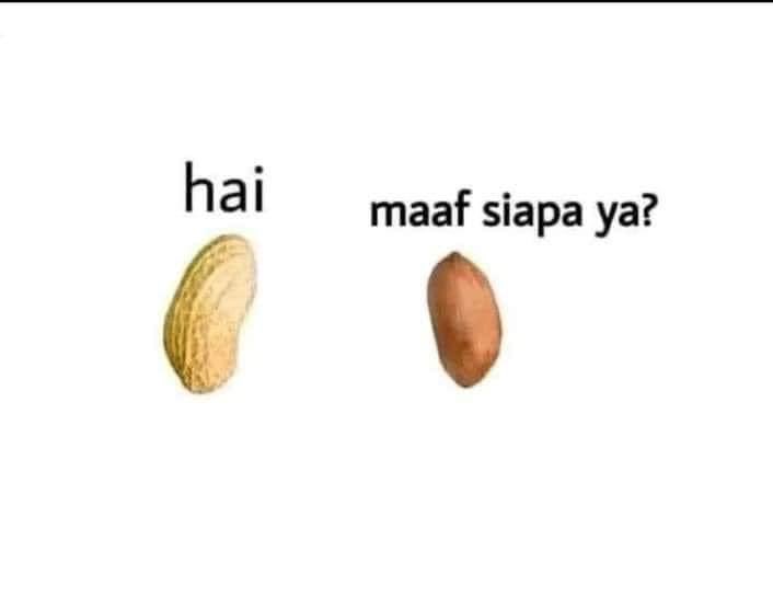 AbudiAlsagoff's tweet photo. Mahal pepatah ni 🤣 https://t.co/DS6TTR7eL5