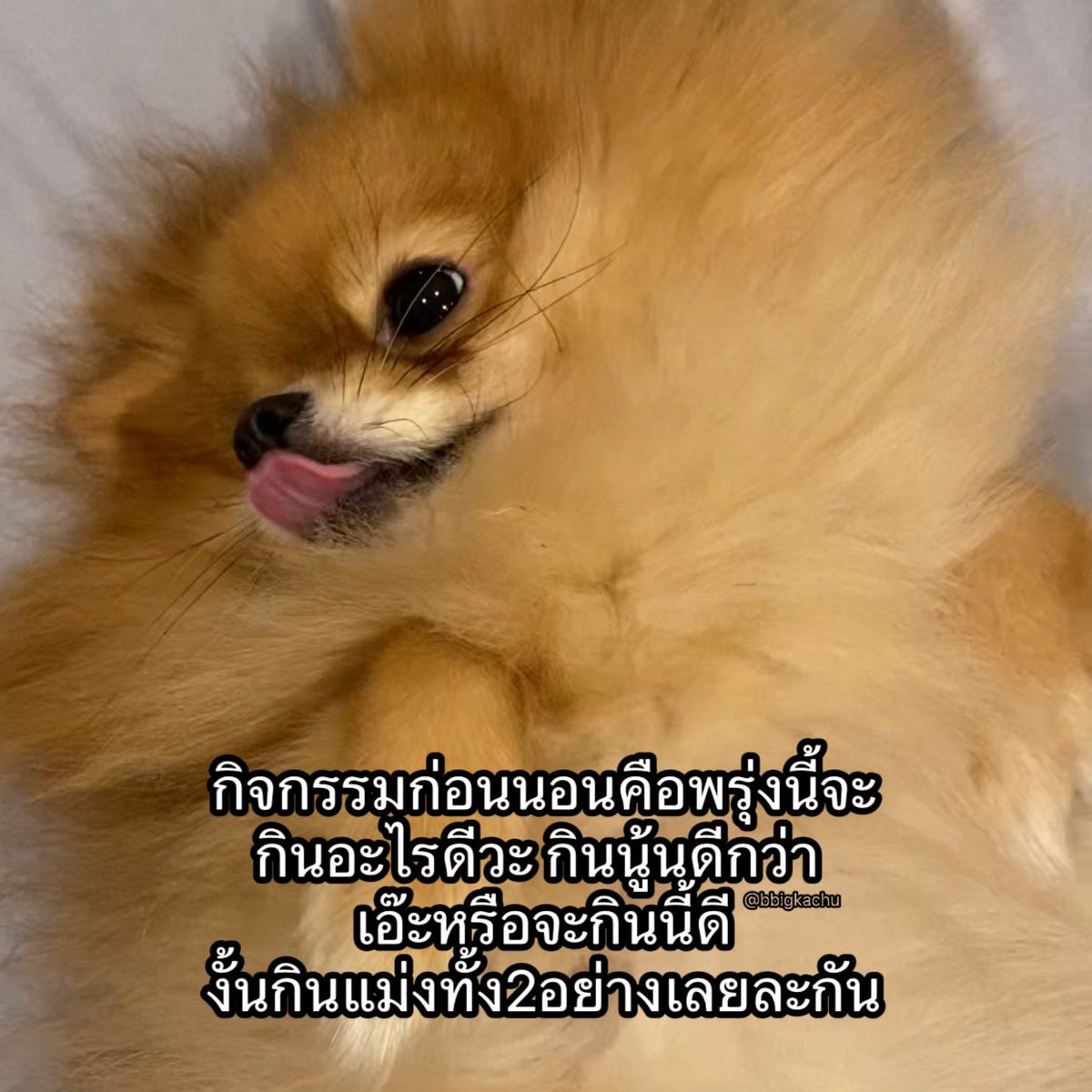 ตื่นมาอีกทีอันที่นึกเมื่อคืนคือไม่อยากกินแล้ว สรุปกินอย่างอื่นแทน 55555555