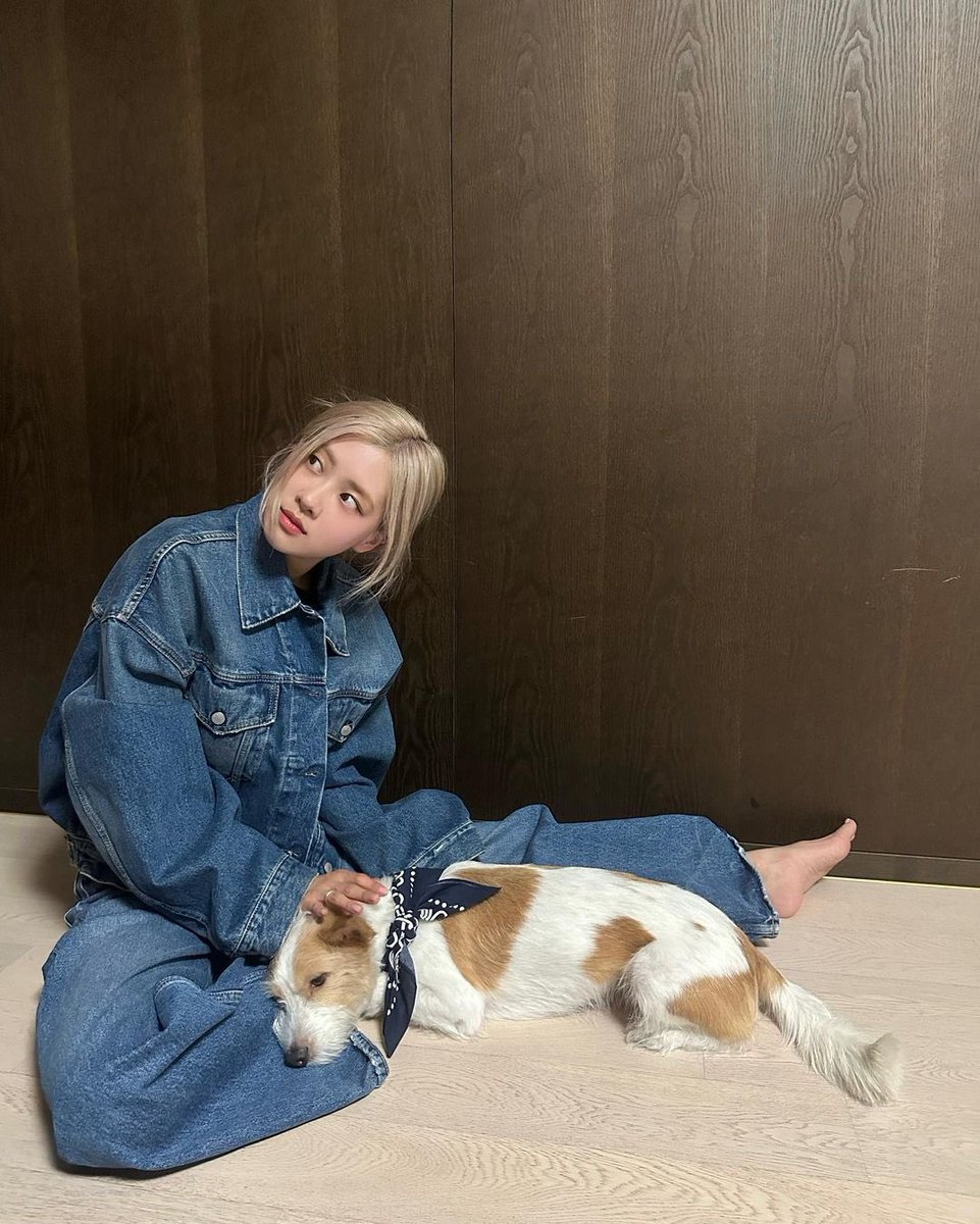 rosieisposie's tweet photo. Home is where my baby is. 🐶🤎 https://t.co/FS85S0fzLz