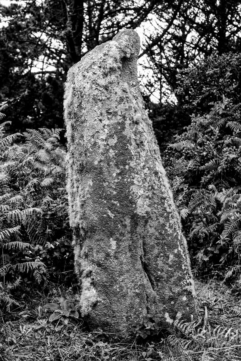 Long Rock Menhir, standing stone, St Mary's, Isles of Scilly, #bnw #bnwphotography #blackandwhite #blackandwhitephotography #monochrome #scilly #islesofscilly #standingstone