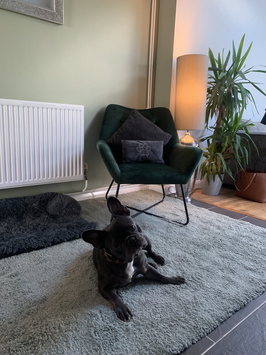 Lisa Saunders tweet media