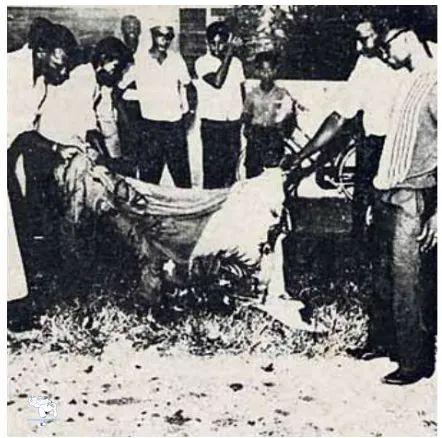 AntroCanal's tweet photo. No olvidemos cuando el #14Oct 1966 los guyaneses invadieron el Consulado de Venezuela en Georgetown y mancillaron la Bandera venezolana #MiMapa

La pisotearon, la escupieron y la quemaron #30Ago 

#ProhibidoOlvidar #EsequiboEsVenezuela Mi Mapa de Venezuela incluye nuestro Esequibo