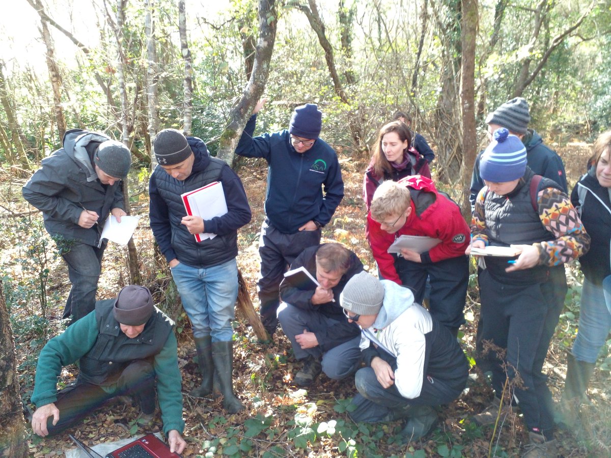 GeraghtyWIT's tweet photo. Wonderful visit to @abbeyleixbog with Des Finnamore, Hugh Shepherd and @denomeara. Diverse range of habitats across a sensitively managed site 👏 @NatOrgSkill @NPWSIreland @Dept_ECC @agriculture_ie @SETUAgriculture @SETUIreland https://t.co/gtv23VmWwW