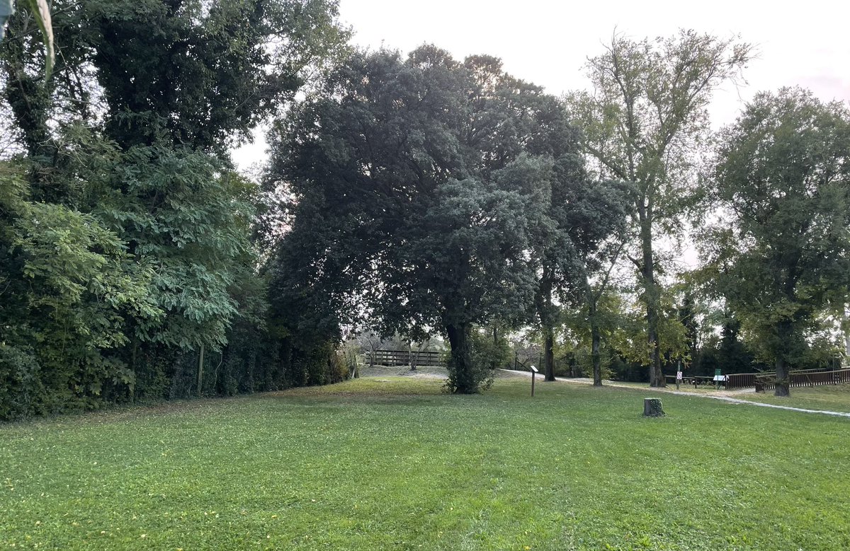 Mario16604832's tweet photo. #PensoVerde Sulle strade della #ValCavanata. Tra poco dovrebbero arrivare i fenicotteri (o forse sono già arrivati ma se ne stanno nascosti in qualche angolo tranquillo della laguna… 🤔) https://t.co/2CzepqKJSn
