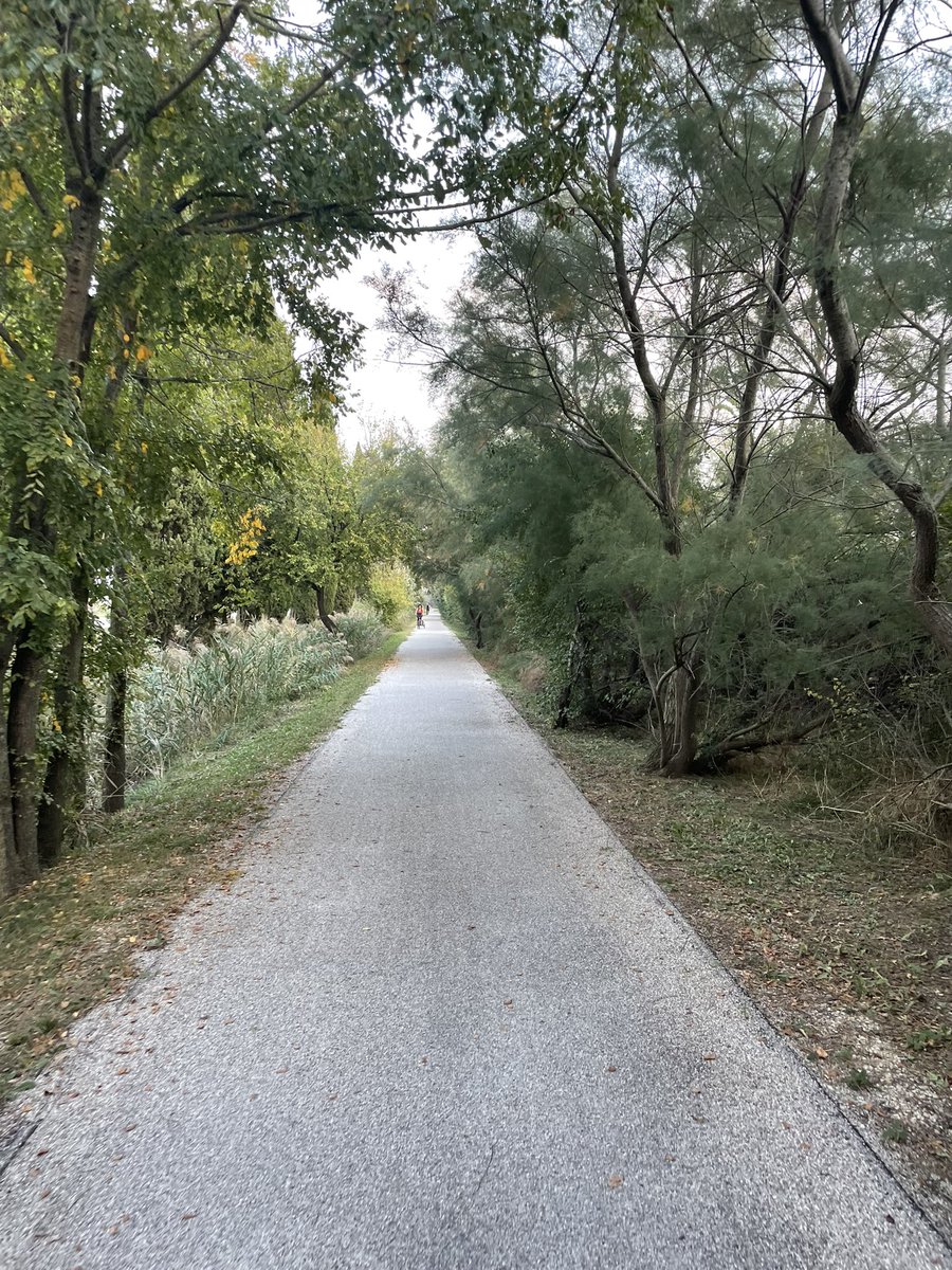 Mario16604832's tweet photo. #PensoVerde Sulle strade della #ValCavanata. Tra poco dovrebbero arrivare i fenicotteri (o forse sono già arrivati ma se ne stanno nascosti in qualche angolo tranquillo della laguna… 🤔) https://t.co/2CzepqKJSn