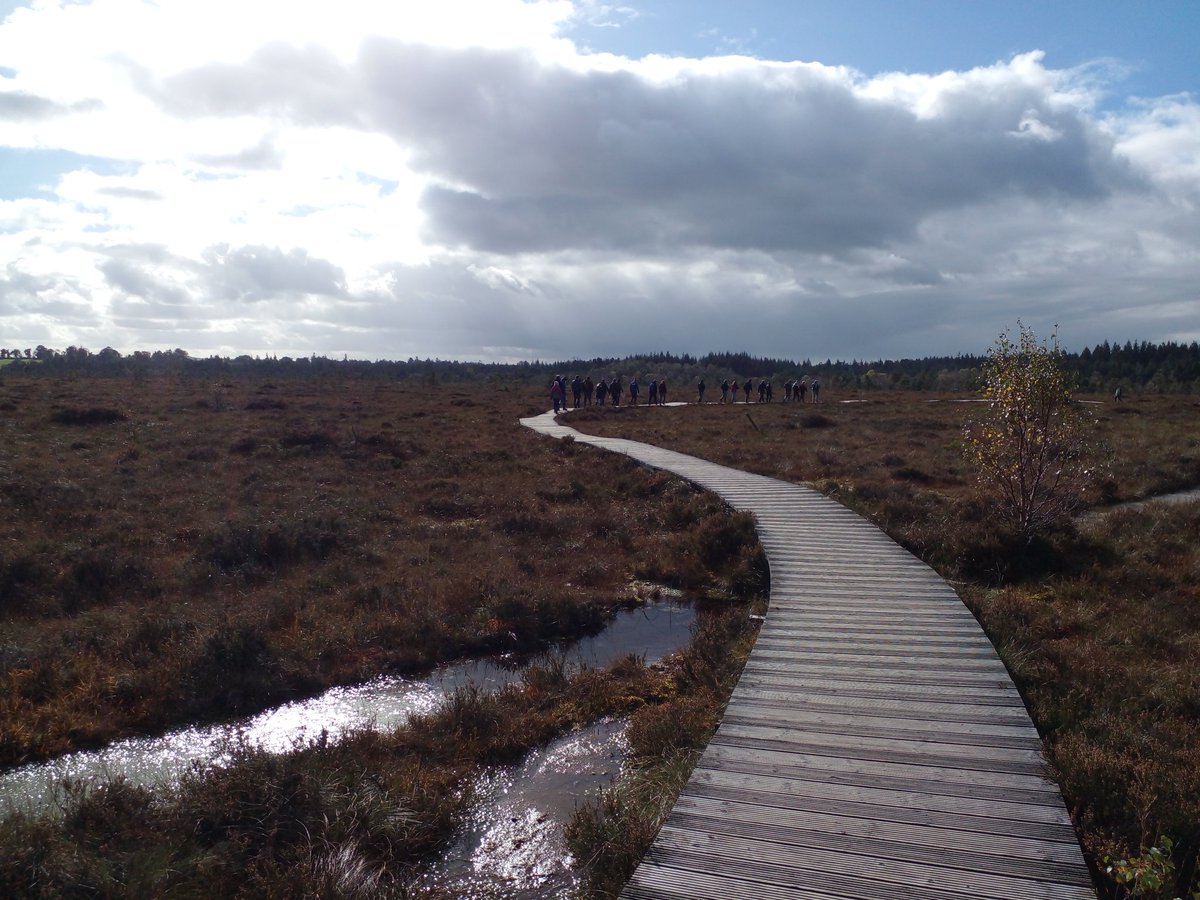 GeraghtyWIT's tweet photo. Wonderful visit to @abbeyleixbog with Des Finnamore, Hugh Shepherd and @denomeara. Diverse range of habitats across a sensitively managed site 👏 @NatOrgSkill @NPWSIreland @Dept_ECC @agriculture_ie @SETUAgriculture @SETUIreland https://t.co/gtv23VmWwW