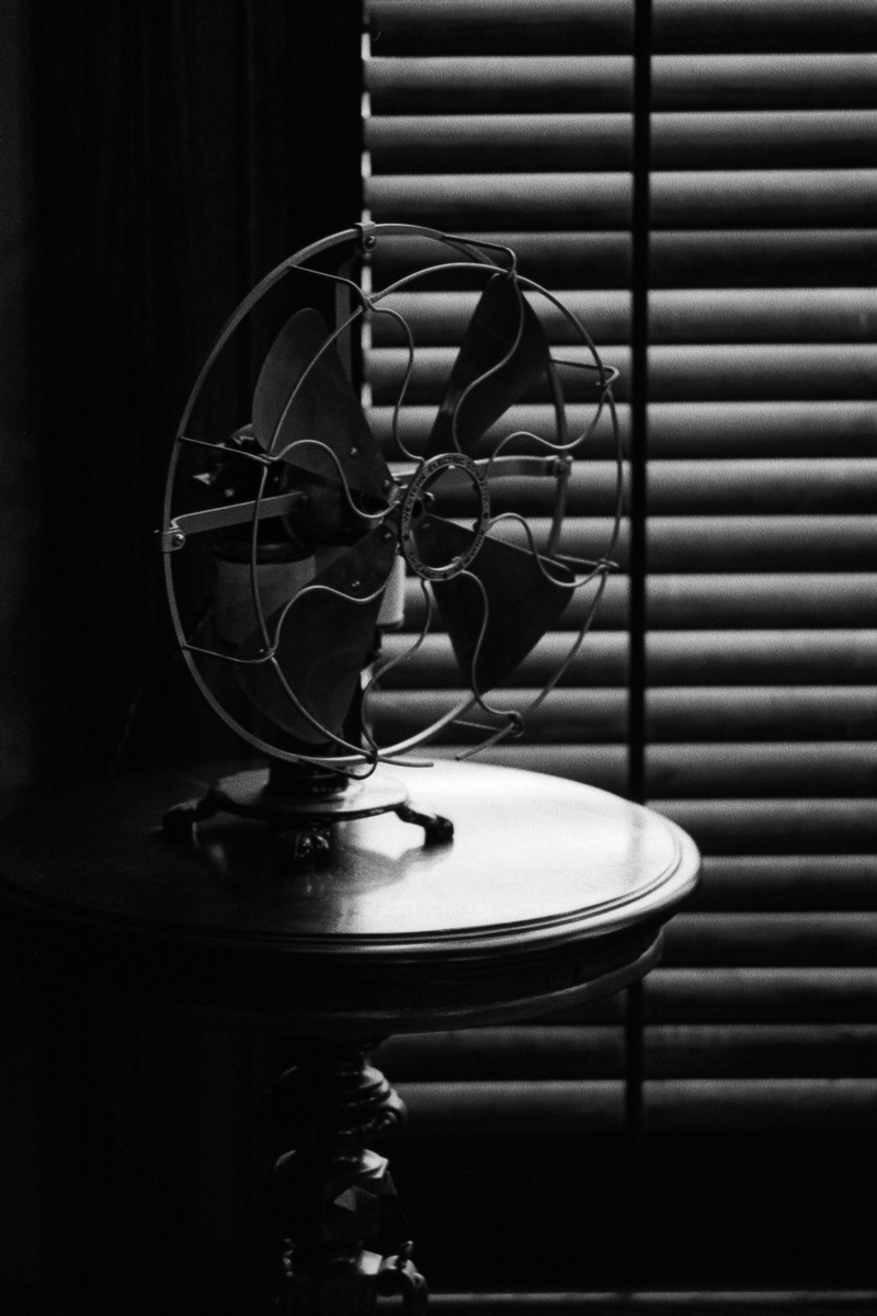 PSlatraigh's tweet image. #Ilford #Hp5 at 400 ISO, with #Pentax KX and Pentax-K 135mm f2.5. #BelieveInFilm #FilmPhotography #Photography