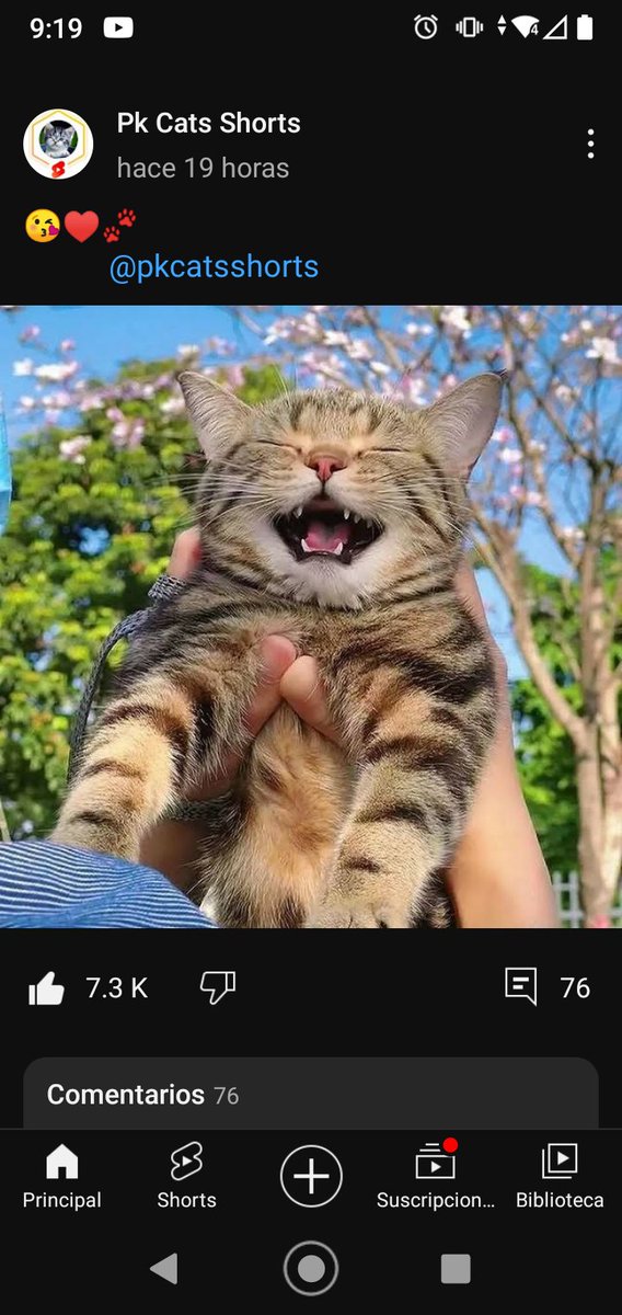 Buen dia