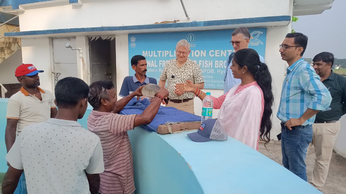 Dr. Michael Phillips, Director of #FUTUREFISH, #UK and Dr. Morten Rye from #Benchmark_Genetics, #Norway, along with Shri Amar Gaikwad, #WorldFish- India, visited NFDB-#ERC, #Bhubaneswar on 13.10.2023. @Mike_FutureFish @RossHouston