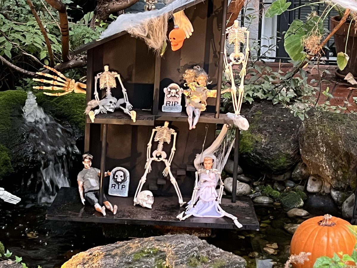 albertblog's tweet photo. Happy Weekend ☔️🎃 #barbiepond #WashingtonDC https://t.co/B3z8u76e9V