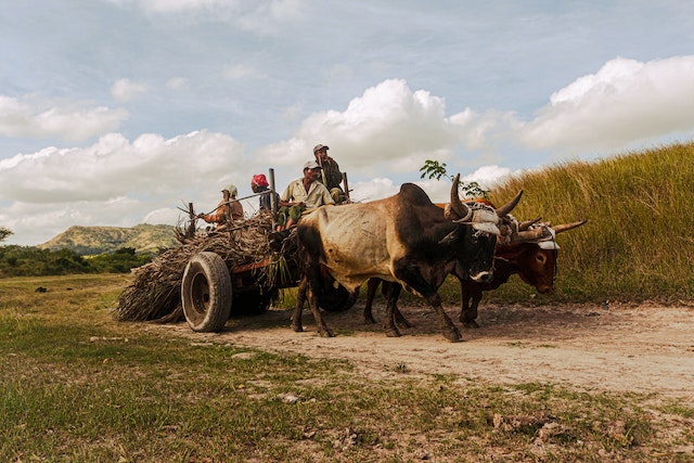 smatchworld's tweet photo. #SmallScaleProducers often grapple with limited resources and market access. Tools, inputs, and knowledge are scarce, hindering productivity. They need access to reach fair markets and sell their products at just prices.  
#MarketOpportunities
Read more: https://t.co/tvoaRCPORX https://t.co/q71Gh7AQUJ
