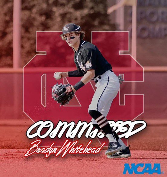 gopro_ball's tweet photo. Congratulations to Bradyn Whitehead, member of the Go Pro 2024 team, on committing to play at the next level at North Central College! Way to go Bradyn! https://t.co/ZKDgazTS5x