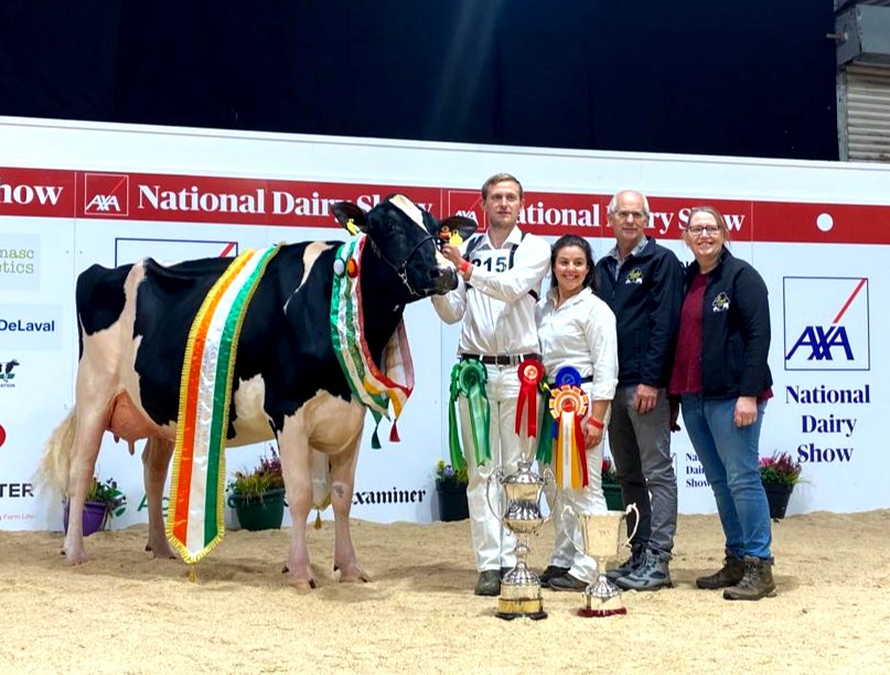 Nat_DairyShow's tweet photo. Our 2023 AXA National Dairy Show Supreme Champion Sponsored by AXA, Exhibitor Bred Champion Sponsored by Norbrook and Best Udder Sponsored by Southern Milling EEDY DOORMAN FAME VG 89 exhibited by R&amp;S, J&amp;L Helen https://t.co/KfpPYFisl0