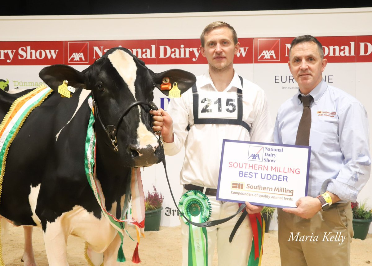 Our 2023 AXA National Dairy Show Supreme Champion Sponsored by AXA, Exhibitor Bred Champion Sponsored by Norbrook and Best Udder Sponsored by Southern Milling EEDY DOORMAN FAME VG 89 exhibited by R&amp;S, J&amp;L Helen
