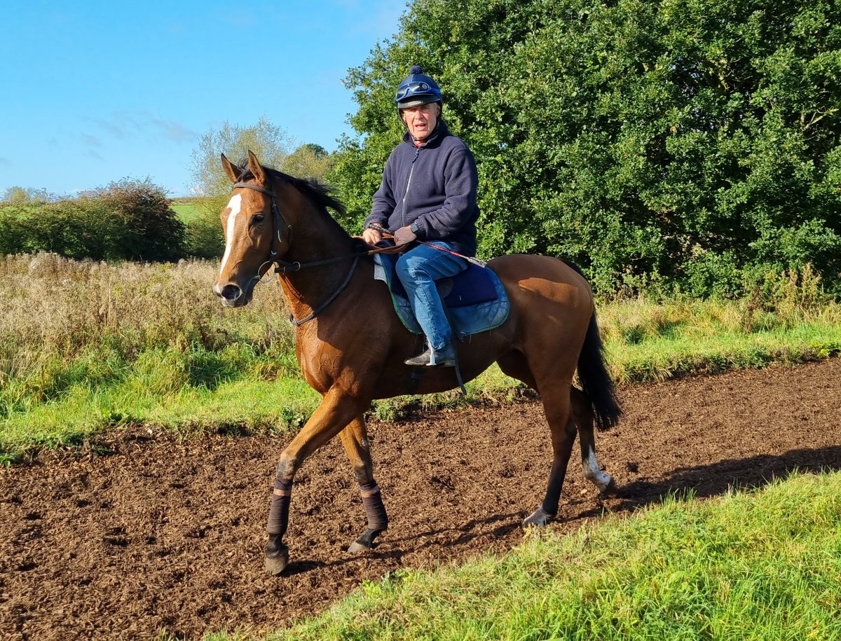 DerbysRacing's tweet photo. Fabulous @DerbysRacing yard visit today at John Mackie Racing, the horse's all looked in great nick on lovely sunny Autumn morning. Here are a few pics taken on the gallops π. **Shares Available** to suit all pockets, DM for info #fistralbeach #bombsquad #vivency #availableangel https://t.co/hj1gcq9Dhn