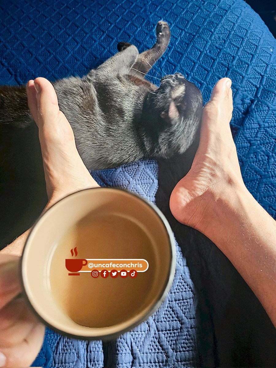 uncafeconchris's tweet photo. No necesito una razón para despertar con una sonrisa, la compañía de mi gato Mateo es suficiente para sonreír.
#uncafeconchris #menandcats
#manandcat #menandcoffee
#coffeeandcats #coffeeandfeet #sleepingcat #sleepingcats https://t.co/Oq58CT0zkM