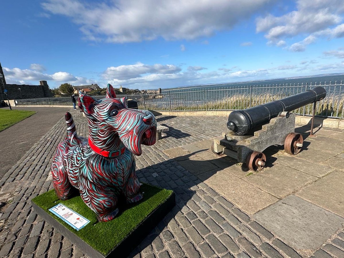 ⁦<a href="/ScottiebytheSea/">ScottiesByTheSea</a>⁩ have 30 Scottie Dog Sculptures dotted along the Fife Coast. Here are 4 of the 18 Sculptures located in St Andrews. See if you can find them all.