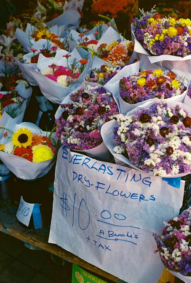 jocho0o's tweet photo. Seattle summer shot on 
📸: canon rebel T2
🎞️: Kodak ultramax 400 https://t.co/nuxhAPmFr6