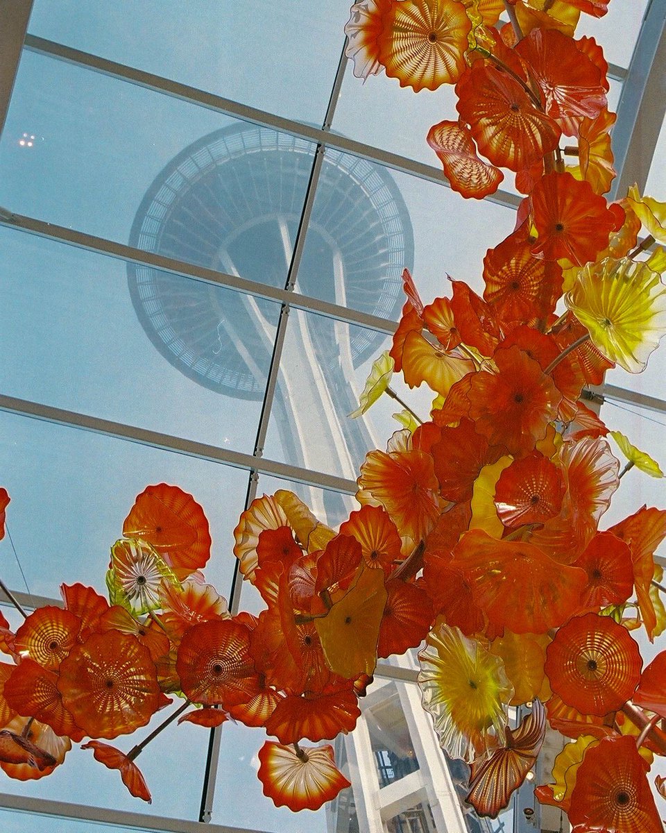 jocho0o's tweet photo. Seattle summer shot on 
📸: canon rebel T2
🎞️: Kodak ultramax 400 https://t.co/nuxhAPmFr6