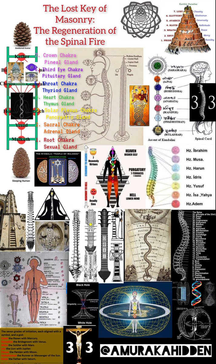 AmurakaHidden's tweet photo. Christianity Alchemized 🧵

The Practice of Drinking the Blood (Wine) & Consuming the Body of Christ can be traced back to the Orphic Myths of the Dismemberment (Sparagmos) of Dionysus. The consuming of the meat and wine was symbolic of the Titans eating the flesh (meat) & blood (wine) of Dionysus, the Heir Apparent to Zeus & Future Ruler of the Cosmos.

In the Dionysian Rites, the omophagia was the act of eating flesh and drinking wine to consume the god (Dionysus) AND become ONE with DIONYSUS. 

Now, this is done in Christianity as the Eucharist. Dionysus has been replaced with CHRIST. 

"He who eats My flesh & drinks My blood has eternal life" 

John 6:54 

The Eucharist is an Alchemical Process were the "Body of Chryst" is transmuted into Eternal Life. Some claim Chryst comes from Chyrsus the Greek Word for GOLD. The Blood is symbolic of the Red Stone while the Flesh is the White Stone which is "transmuted" into Philosopher's Stone. Christ IS the Philosopher's Stone or Lapis: The True Goal of the Alchemist. The Lapis is NOT only a material substance, it’s a consciousness which must be awakened. The Eucharist is the Symbolic Act of transmuting BASE (or BEAST) Consciousness into CHRISTIC (Unity) Consciousness. 

This Alchemical Transmutation of Eternal Life is the same as the Hermetic Elixir of Life. The Elixir of Life is simply the 'Mixture of Life' or Mix of Opposites. From LEAD to GOLD. The Real Prize of the Alchemist is an Awakened Consciousness, an Enlightened State, Christ Consciousness. Carl Jung calls this process Individualization while the Goal of the Alchemist is always to TRANSMUTE Base Metals from LEAD to Gold. 

In Alchemical Terminology, Saturn (or SATAN) is the "Lead" which is "transmuted" into other stages or variations of itself (other 'aspects of the deity'). This is the Prima Materia of the Alchemist. 

As always, the Ultimate Goal of the Alchemist is to transmute Lead to "Gold" or SATAN (Saturn) into the "Sun" aka "Jesus is the Son". Base or BEAST Consciousness into Christic Consciousness. 

Carl Jung explains, "And just as, in Christianity, the Godhead conceals itself in the man of low degree, so in alchemy it hides in the uncomely stone.” 

Symbolically, this is the stone “rejected by the builders". The Rejected Stone is the Prima Materia. This leads to the Alchemical Notion that darkness conceals the light and that the true enlightenment is found in the “distressing shadows” of our psychology. The Gnostics called this the Divine Spark in Matter. In truth, the Goal is to FREE this DIVINE SPARK, RAISE the CHRISTOS & Become ONE with the FATHER. 

Herein Lies the Difference between Modern Christianity & the Alchemical Opus.

Paul Levy writes, "The Christian point of view is that we [need] redemption and leaves the work of redemption to an autonomous divine figure. The alchemists, on the other hand, were having the epochal, revolutionary, and evolutionary realization that we are all collaboratively playing a crucial, participatory role in the Incarnation of the divine being. Both points of view are true, as they are complementary and unifying aspects of a greater whole. From the alchemical perspective, as Jung clarifies…, man takes upon himself the duty of carrying out the redeeming opus, and attributes the state of suffering and consequent need of redemption to the anima mundi (world soul) imprisoned in matter." 

The Alchemist does not WORSHIP Christ, HE becomes CHRIST. 

The alchemists finds their own salvation not by the merits of their works but by the "birth of Christ within him". Christ is the CHRYST (GOLD) trapped in MATTER. 

Jung understood this, "The one primarily in need of redemption is not man, but the deity who is lost and sleeping matter. Only as a secondary consideration does he hope that some benefit may accrue to himself.”  

In short, God (or the Self) has become imprisoned in the materia, and it is the task of the alchemist to set God FREE: TO RAISE the Christ WITHIN.

🧵🔚