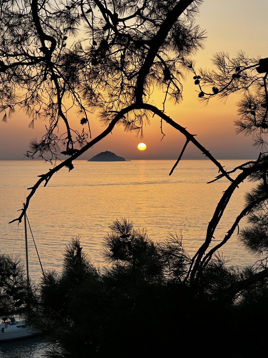 🧠SON ON YILDA “BEYİN NASIL ZİHİN OLUŞTURUYOR?” SORUSUNA YANIT ARAMAK BİZE ŞUNLARI ÖĞRETTİ:

Hiç bir varlığın yaşamı kendi doğumu ile başlamaz

Hikaye bunun çok ötesinde ve eskisindedir

Her varlık yaşamın bir varoluş kodlaması, yeni bir deseni, farklı bir akış formudur

Hiç bir