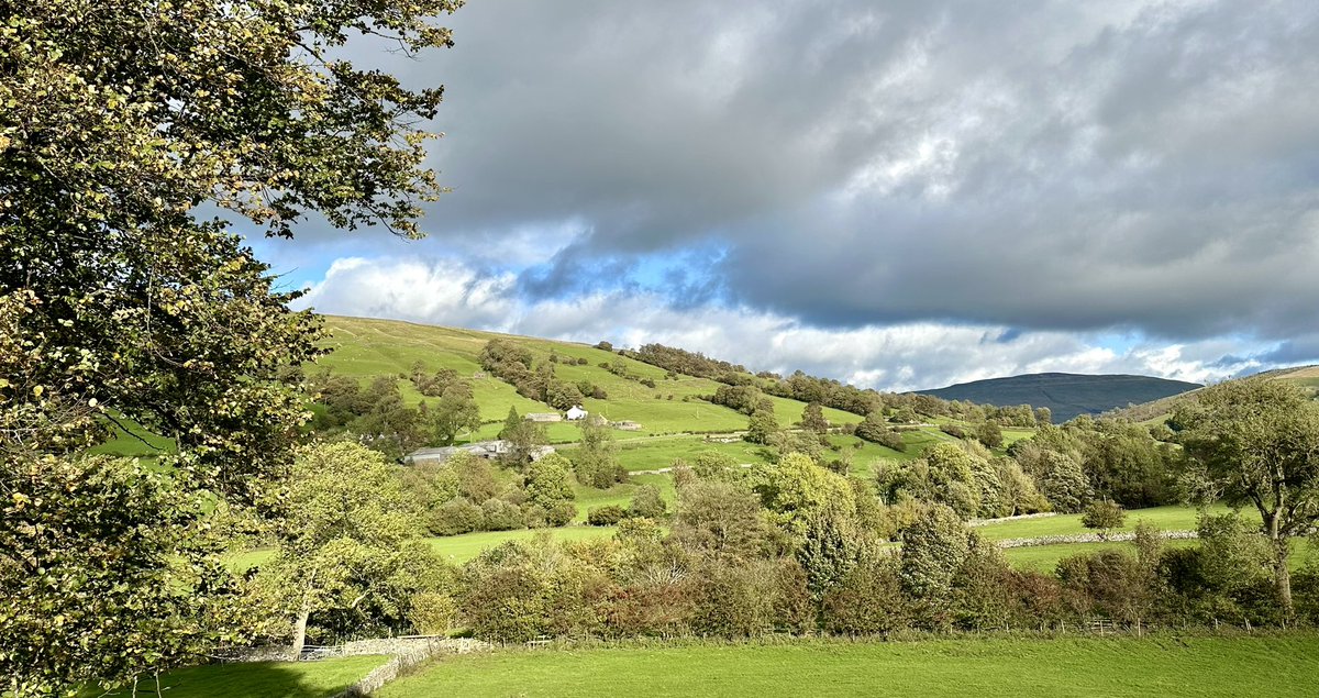 ciaranmonaghan's tweet photo. A new field-corner lambing gate added to the #Dentdale landscape - one of the jobs on today’s @yorkshire_dales #DalesVolunteers session #DalesWay https://t.co/nq3y2nFJlW