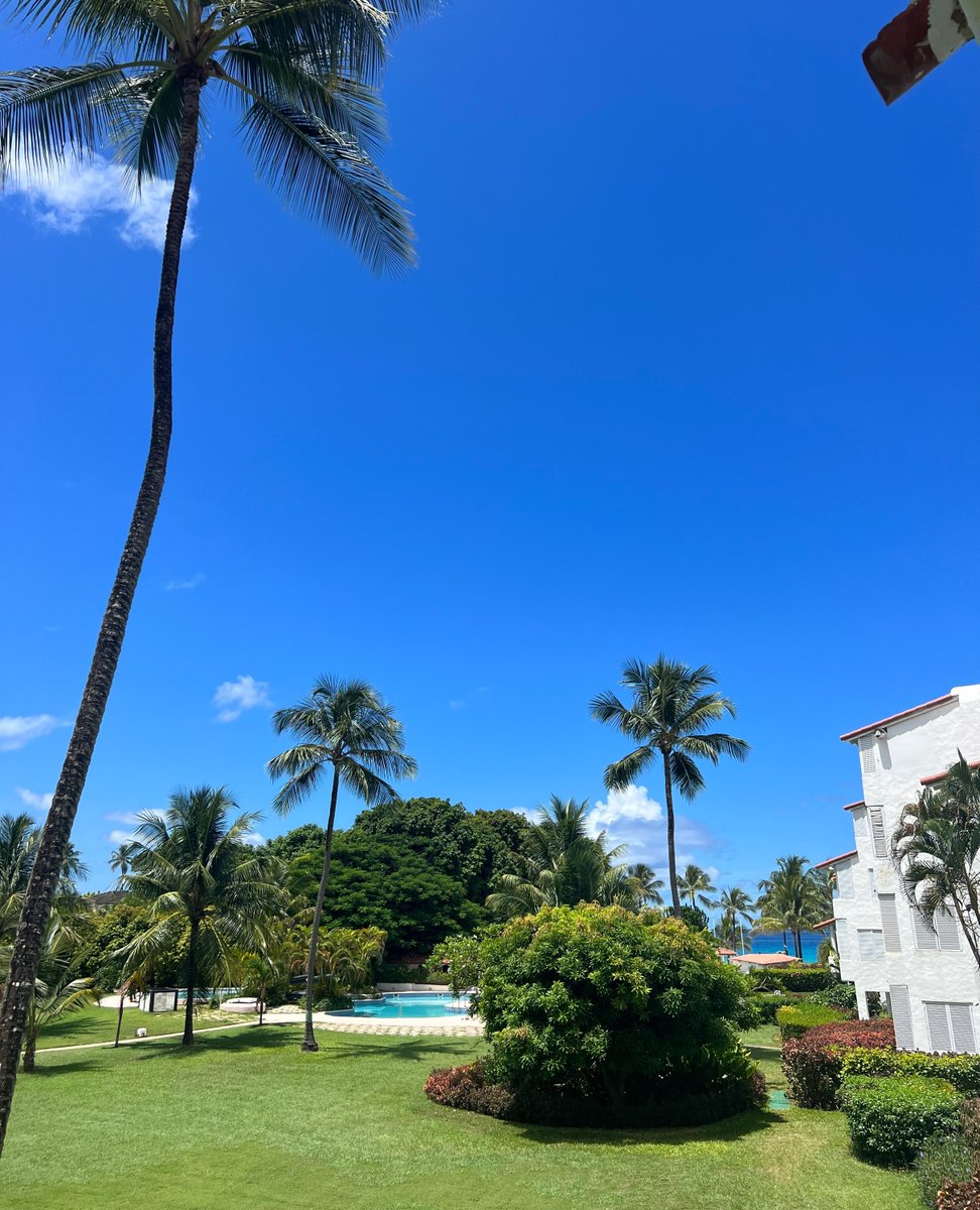 Viewings at Glitter Bau ~ did you know that our sister company @barbadosvillasales has some great inventory at Glitter Bay all exclusively listed?? Get in touch with Emilee for more info!

📧 emilee@barbadosvillaservices.com

#BarbadosVillaServices #BarbadosVillaSales