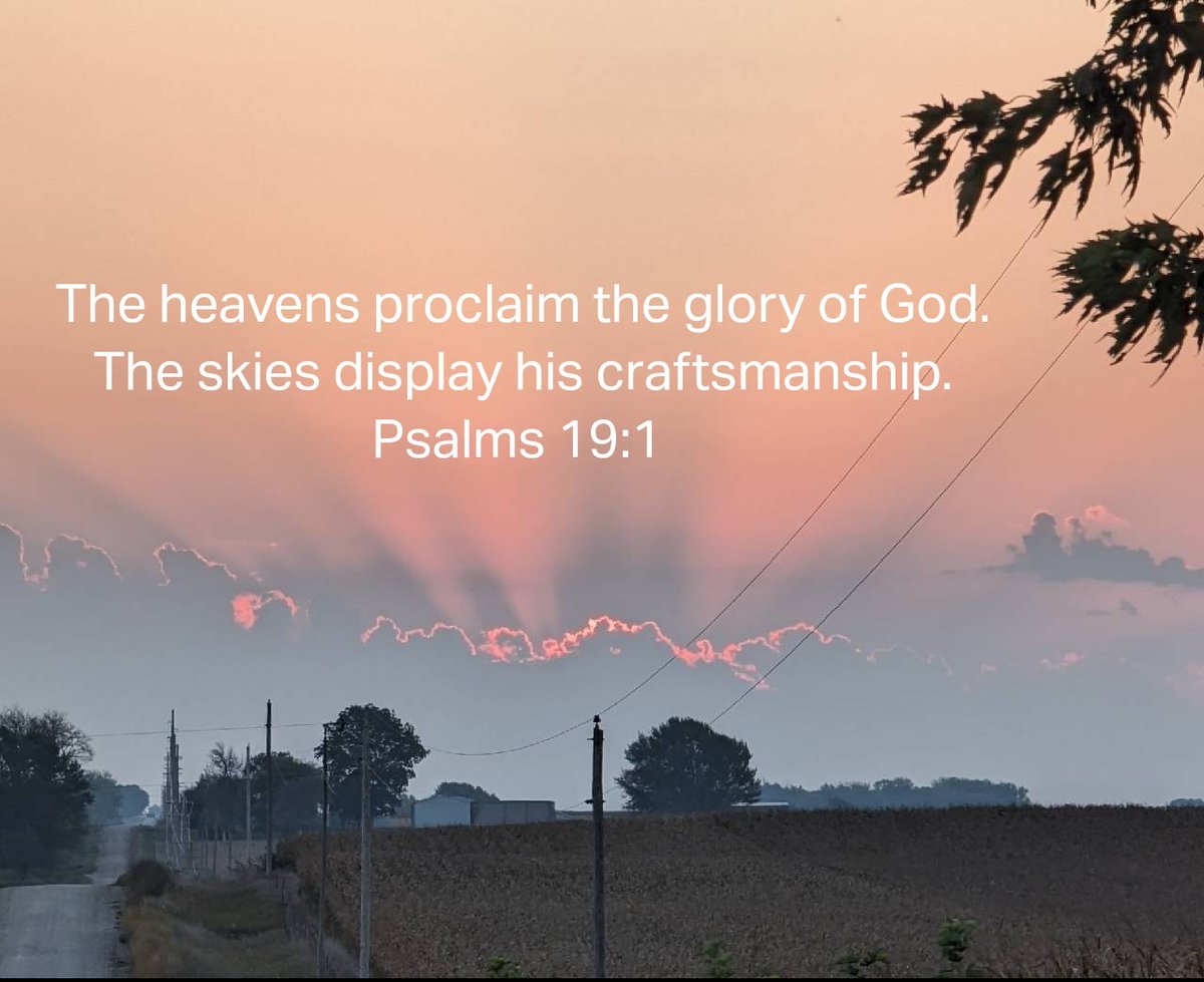 Michael Greenfield (@mlg220) on Twitter photo 