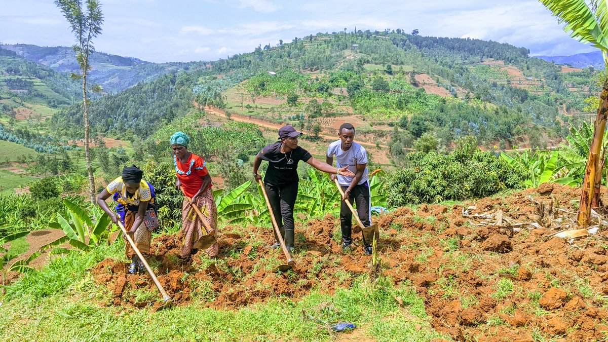QueenSchelo's tweet photo. Today, in @MBAZISECTOR , we worked together with people in Manwari cell, Karambi village to cultivate unused land in this Village with the aim of fighting Food insecurity issues in our country.  @CorpsAfricaRda , @BikorimanaVale5, @UNVolunteers 
@mwungeri 
#LocalHelpingLocals https://t.co/MR1WmXE87u