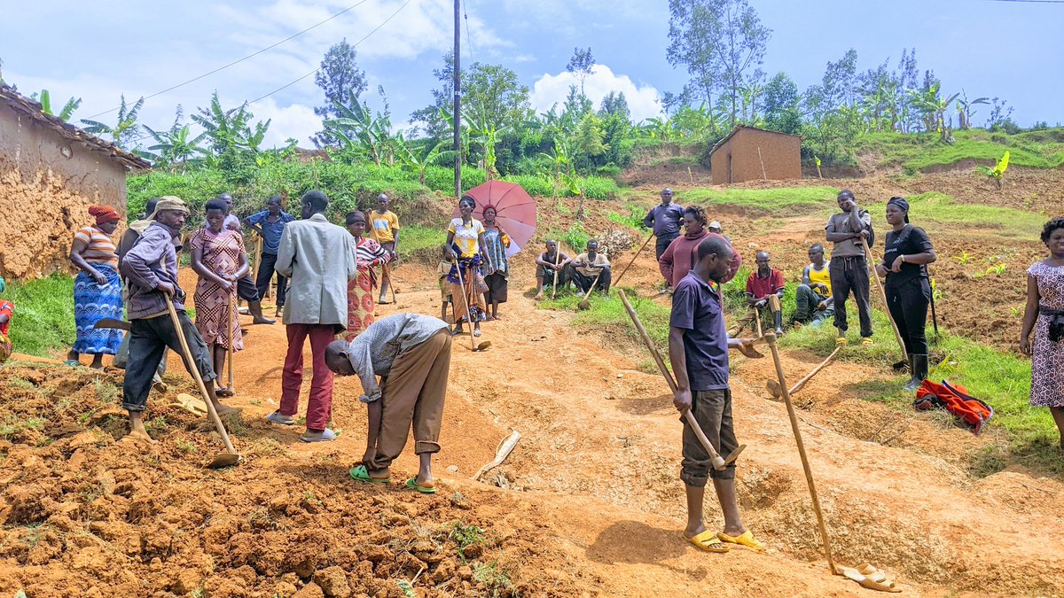 QueenSchelo's tweet photo. Today, in @MBAZISECTOR , we worked together with people in Manwari cell, Karambi village to cultivate unused land in this Village with the aim of fighting Food insecurity issues in our country.  @CorpsAfricaRda , @BikorimanaVale5, @UNVolunteers 
@mwungeri 
#LocalHelpingLocals https://t.co/MR1WmXE87u