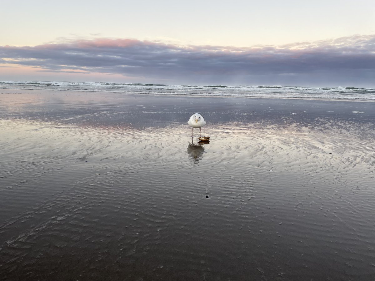 That's a wrap! A huge thank you to all our <a href="/RenewableNW/">Renewable Northwest</a> members who attended the 2023 fall retreat in Cannon Beach. So great to catch up with everyone in person &amp; get into the nitty gritty on some important issues. Safe travels back home &amp; see you soon on the next update call.
