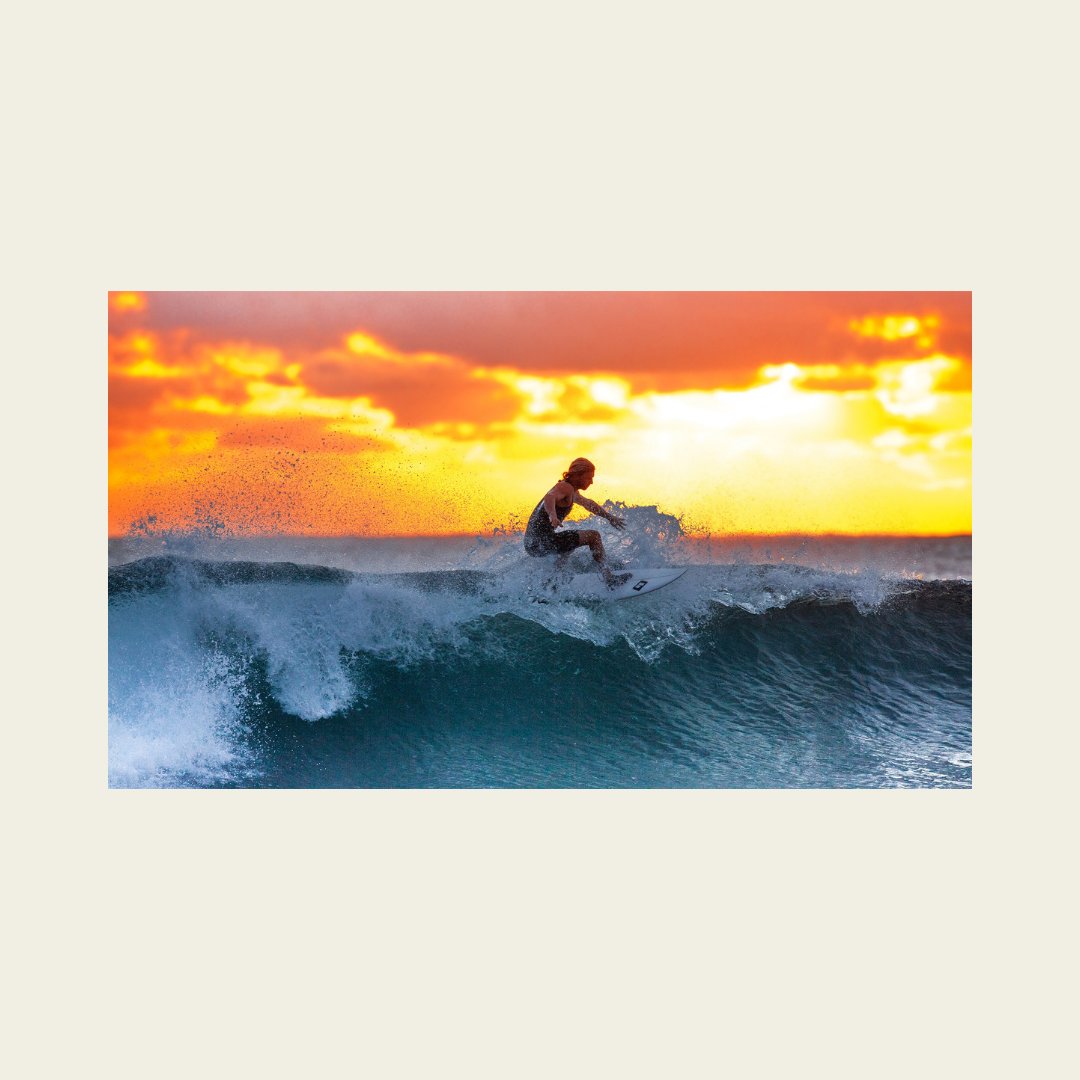 ciclo_solutions's tweet photo. "I want to be wild, beautiful, and free just like the sea." 🌊🌅

#cannabisindustry #cannabiscommunity #cannabisnews #cannabisprofessional #cannabisadvocacy #cannaclub #cannabisculture #cannabiscommunity #cannabissociety #hightimes #420hippiehill #420 https://t.co/AHYsqog7i2